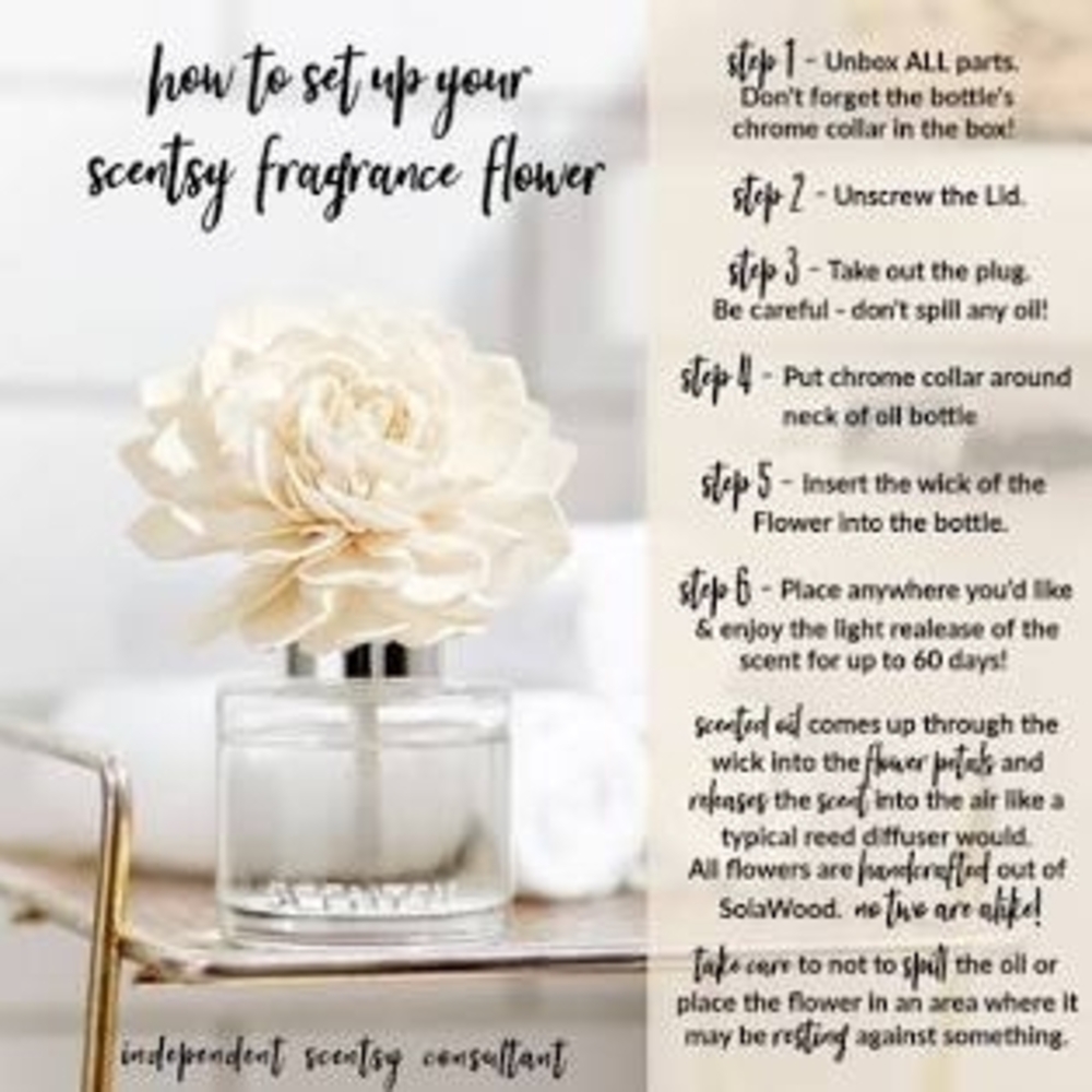 3pk-Scentsy Fragrance Flower Mystery Set